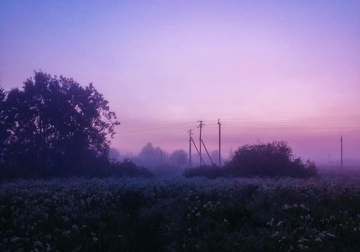 孙颖莎横扫张本美和 国乒3-0日本亚锦赛女团折桂